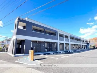 グラティテュード Kの画像