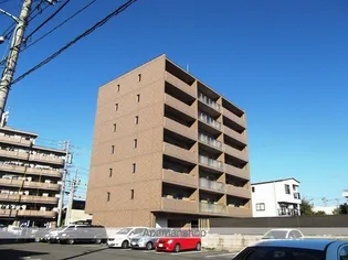 アニマートの画像