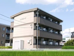 パステルローズの画像