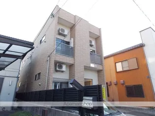 モア グレースの画像