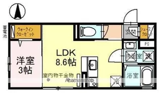 アンジェブラン【1階】の間取り
