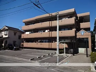 レンソイスの画像