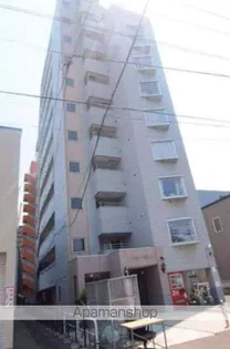 コスモス菊水の画像