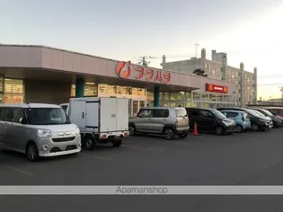 ハイツひまわり【101号室】の周辺