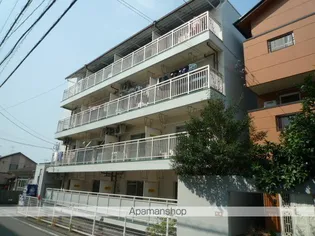 グレース87の画像