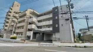 マリベール柳丸の画像