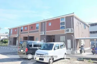サニー ガーデンの画像