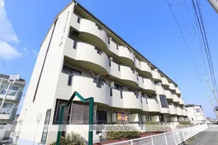 PADDYFIELD21の画像
