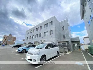 サンフレアの画像
