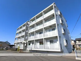 アザレアの画像