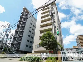 プラバ26の画像