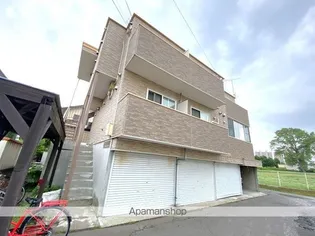 カーサシラトリの画像