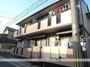 ノーブル トモの画像