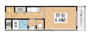 天美ハイツ【1階】の間取り