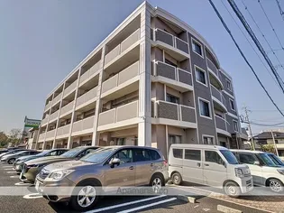 ベル グリシーヌの画像