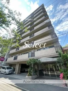 バイムフルス白金Iの画像