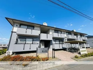 ハイカムール栗の実 Bの画像