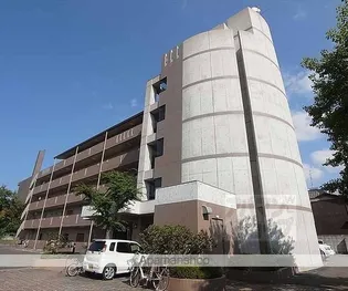 グリシーナ21の画像