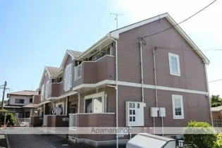 エバーグリーンSAKAGUTIの画像