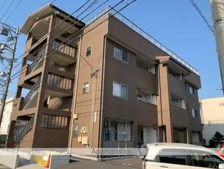 エーデルワイスIIの画像