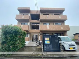 ジャンレジダンスMの画像