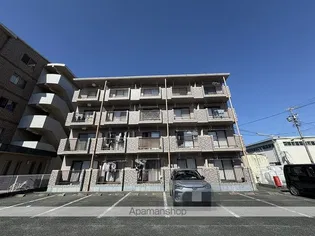 YKバンブーIIの画像