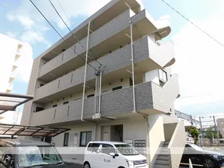 コスモス シシェールの画像