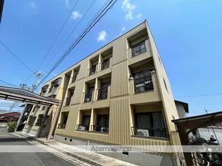 ピュアセンチュリーの画像