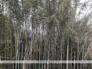 サニーパレス朝倉【5階】のその他画像