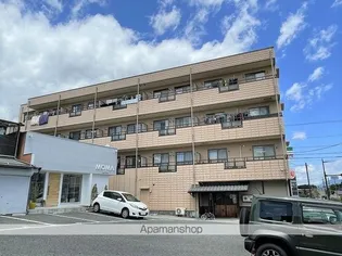 ソフィアケートカイトの画像