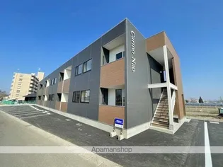 CARINO NAOの画像