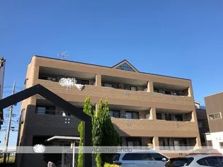 ドルチェの画像