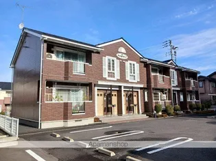 エヴァーグリーンCの画像