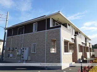 プラシードBの画像