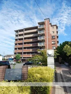 コスミオスコートの画像