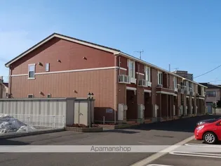 カサフェリスCの画像