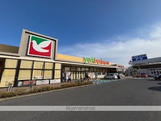 レオパレスロハス C【205号室】の周辺