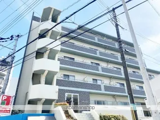 LINDO LINDAの画像