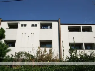 ピコロ九産大【Ⅰ206号室】の外観