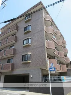 コンフォール シェルの画像