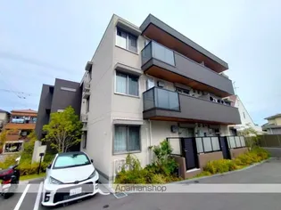 TIEDEURの画像