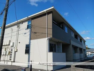 プラシード アルバの画像