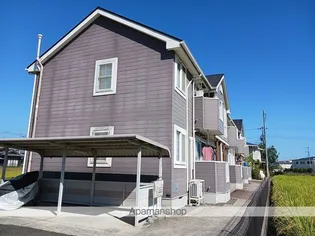 トッティーの画像