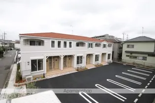 ソンセリテの画像