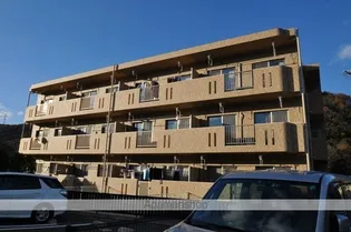 ピュアステージVの画像