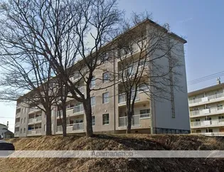 若草401マンションの画像