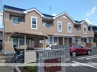 エヴァーグリーンの画像