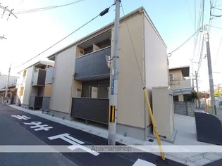 マナティーの画像