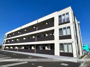 ブロッサムの画像