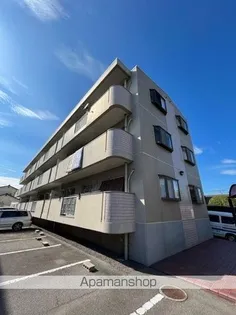 モアグローリーA Bの画像